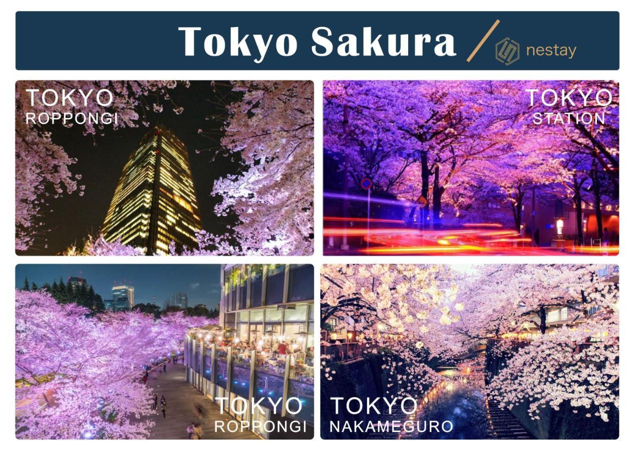 nestay villa tokyo shinjuku Eksteriør billede