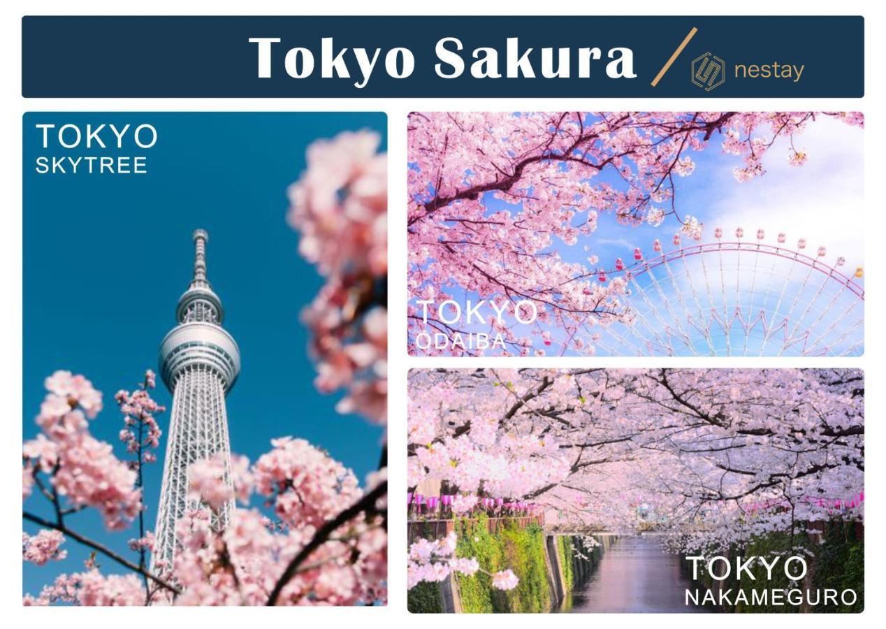 nestay villa tokyo shinjuku Eksteriør billede